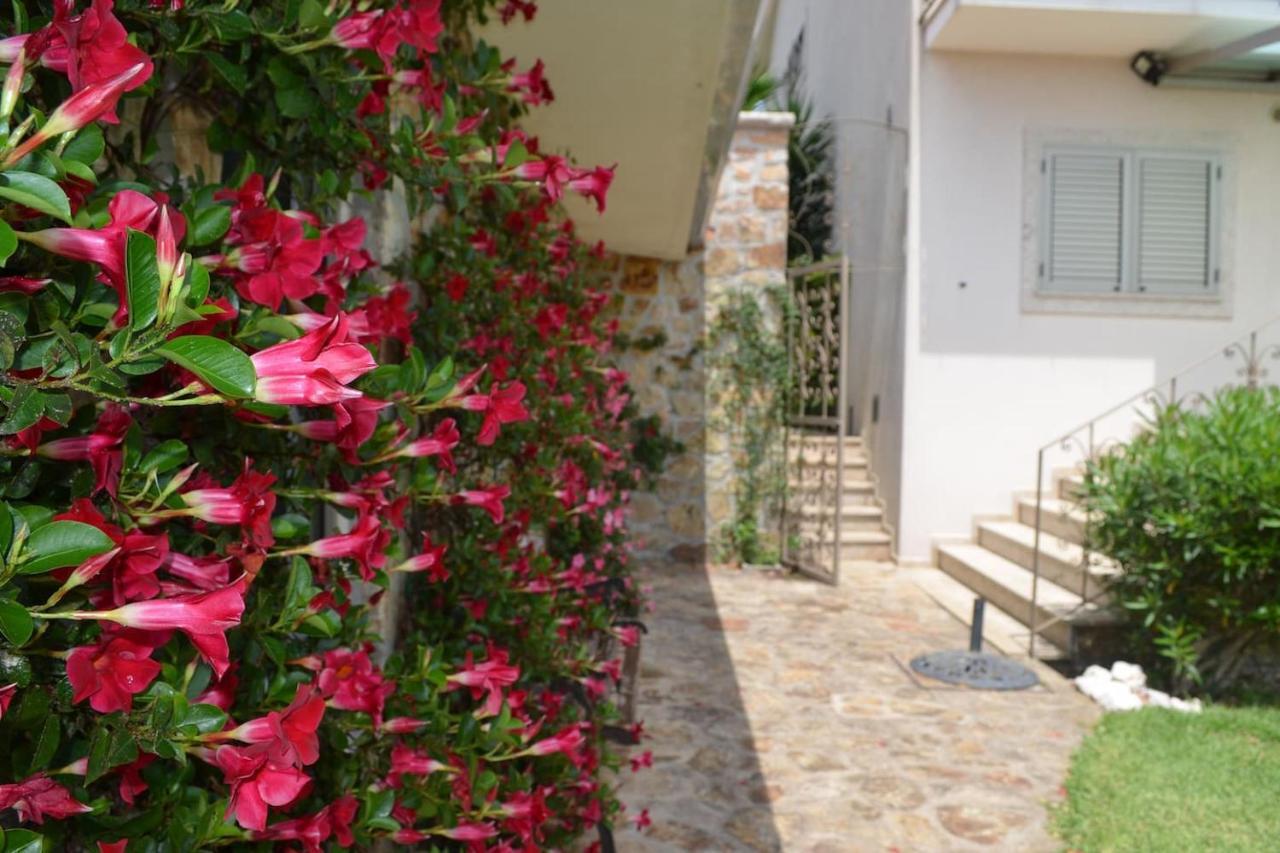 Valadas Guest House Canedo  Buitenkant foto