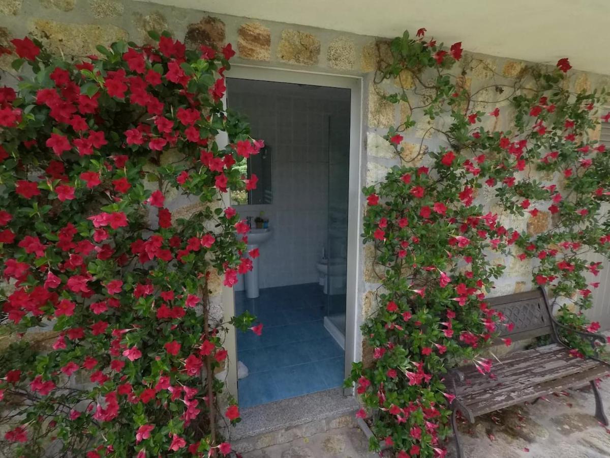 Valadas Guest House Canedo  Buitenkant foto